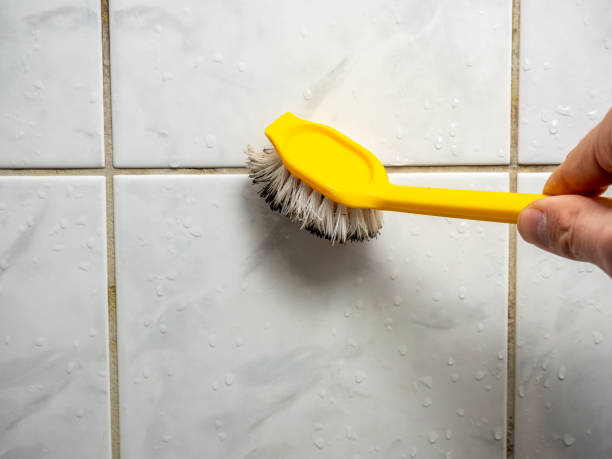 Best Mold Testing  in Radford, VA