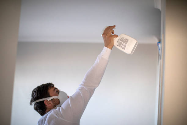 Best Local Mold Removal Service  in Radford, VA