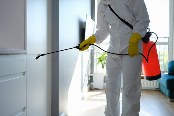 Best Crawl Space Mold Removal  in Radford, VA