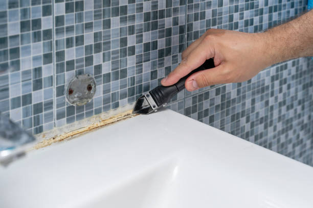 Best Mold Damage Repair  in Radford, VA
